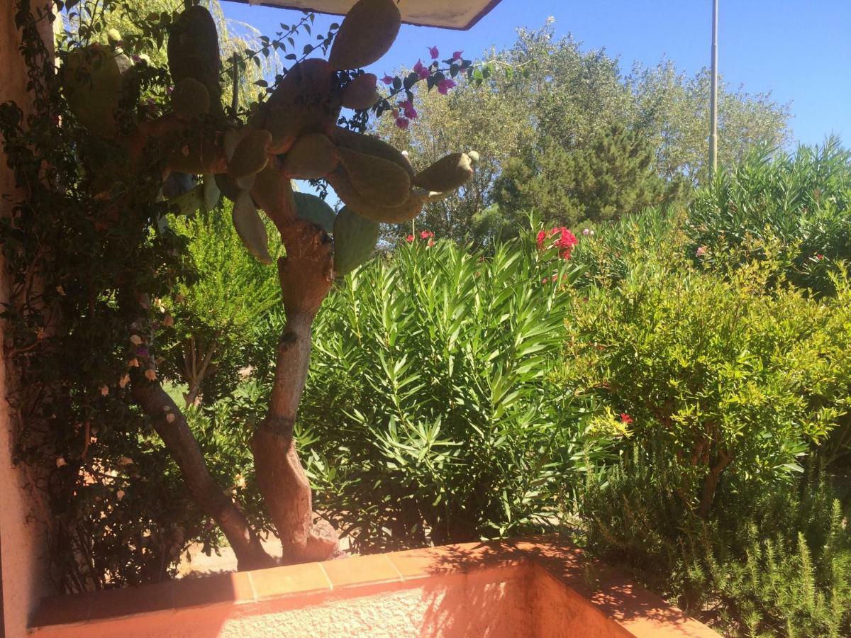 Bilocali Residenza Mediterranea Cannigione Eksteriør billede